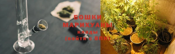 spice Рославль