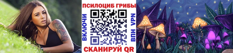 Купить закладки  Сокол  Псилоцибиновые грибы прущие грибы 